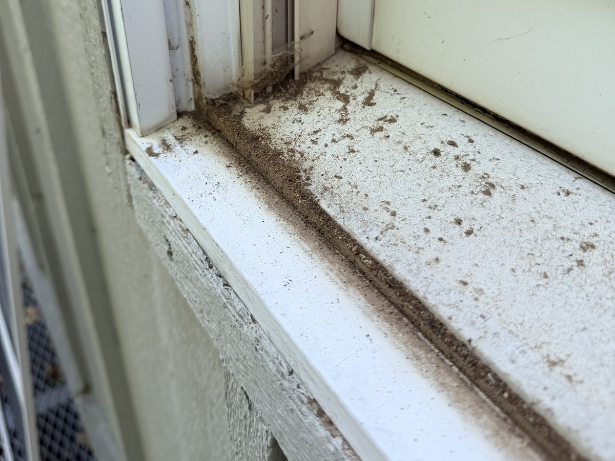 Window frame and track before cleaning